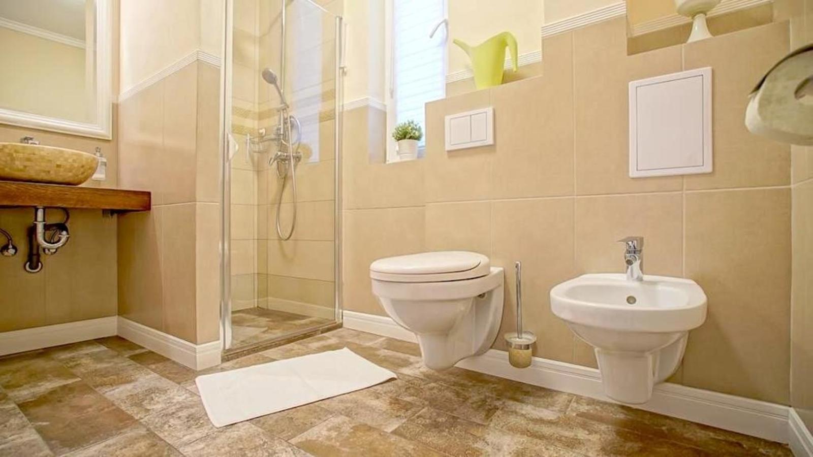 Maximus Apartment Brasov